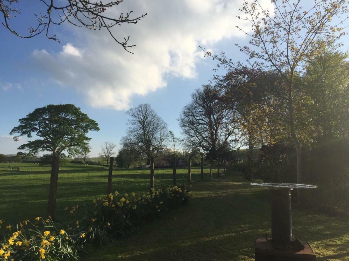 Bed and Breakfast Beech House Greystoke Esterno foto