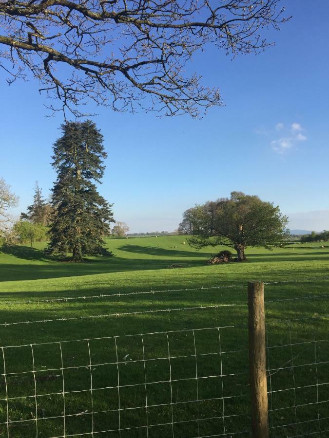 Bed and Breakfast Beech House Greystoke Esterno foto